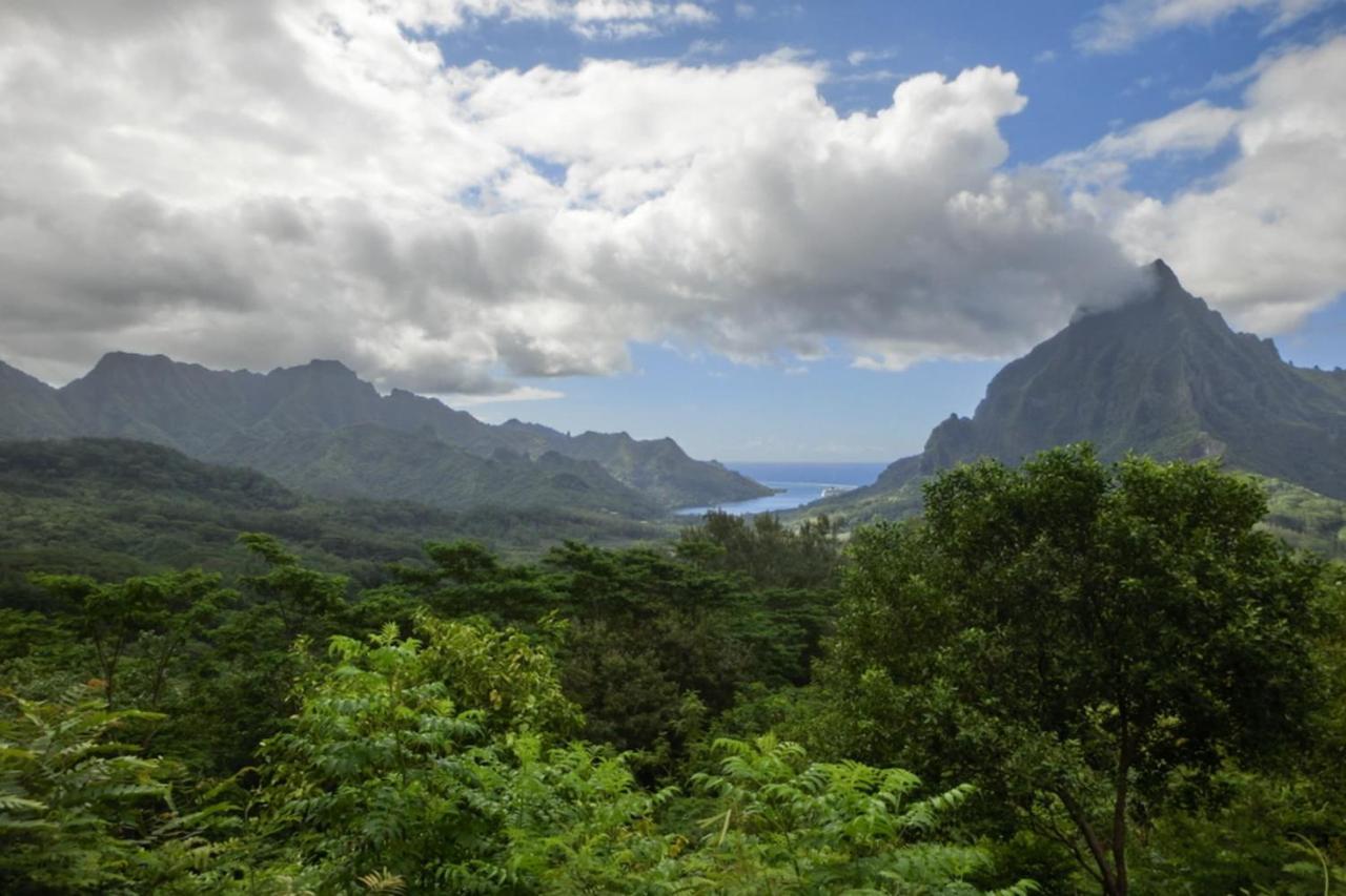 Auti Studio Direct Access To The Beach On Moorea With Ac -Wifi - Netflix Haapiti Exterior foto