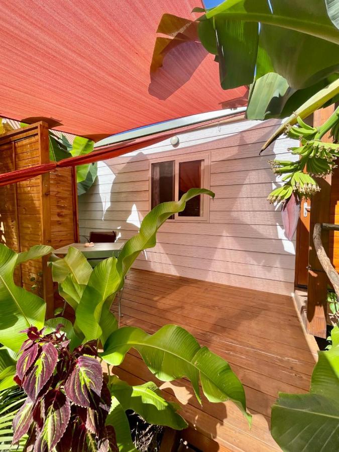 Auti Studio Direct Access To The Beach On Moorea With Ac -Wifi - Netflix Haapiti Exterior foto